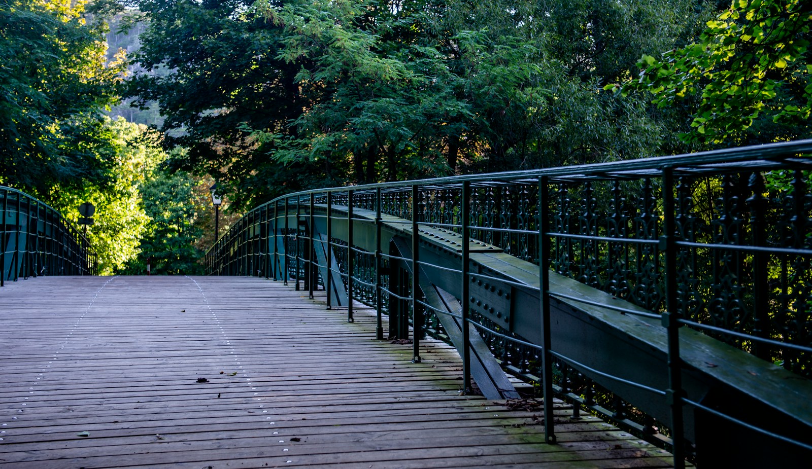 Houten brug door een groen bos